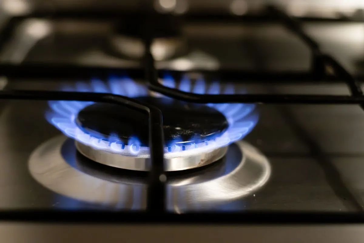 A Beginner's Guide to Multi-Fuel Stoves: Wood, Smokeless Fuel and Coal